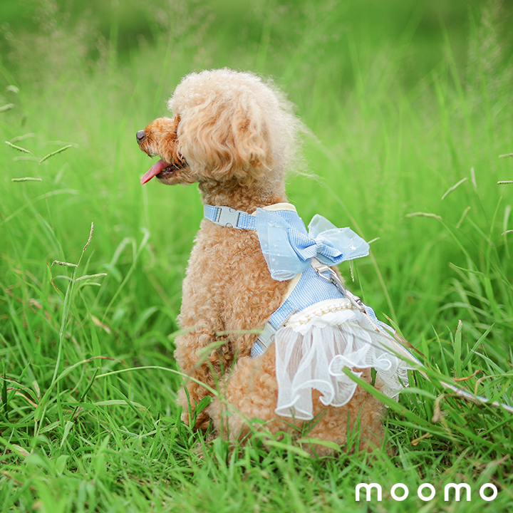 可愛いおしゃれな犬服 ピンク ハーネス&リードセットS・Mサイズ 三色