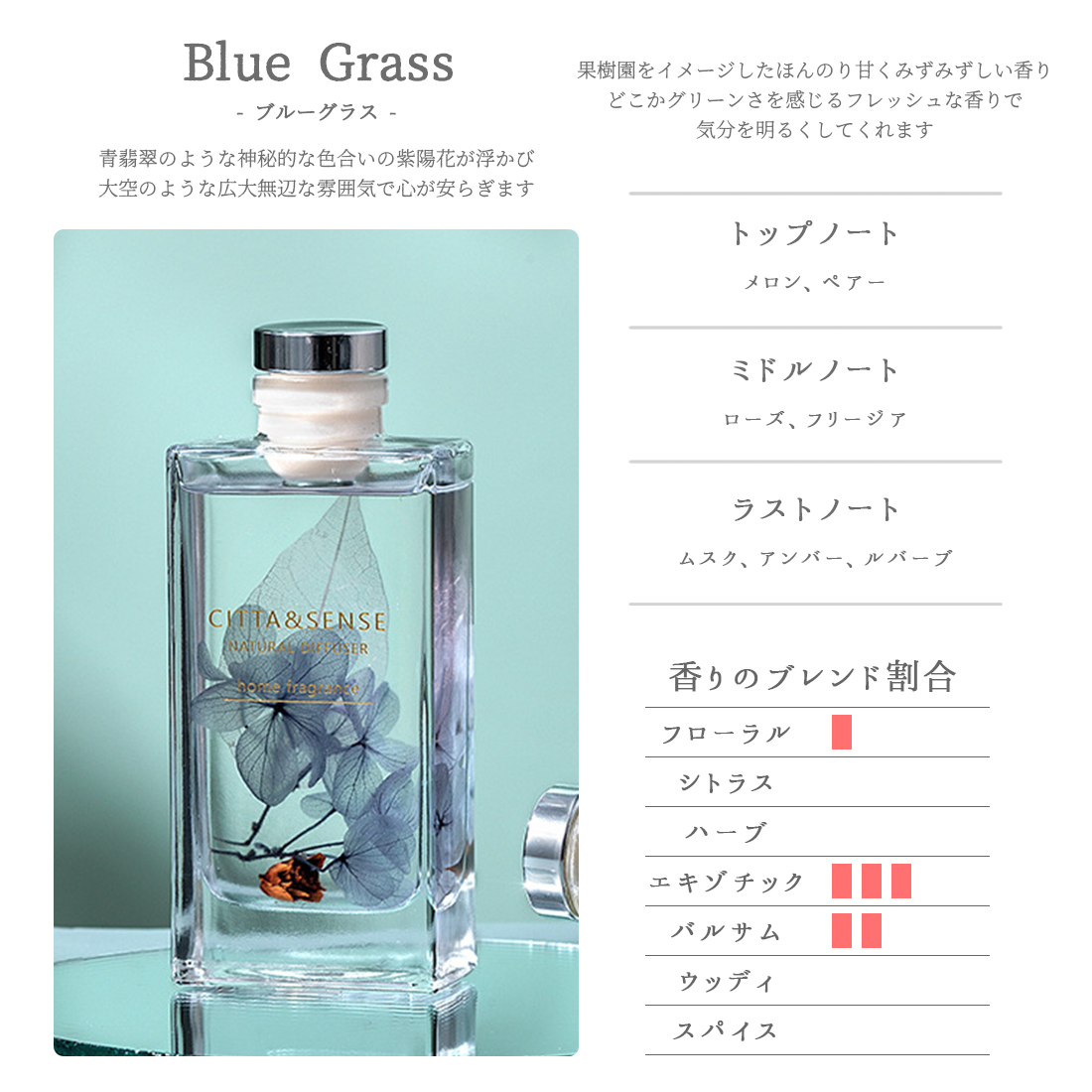 CITTA シッタ リードディフューザー 150ml スティック ルーム