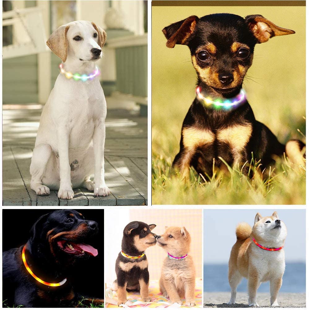 調整式 光る 首輪 犬 LED USB充電 ペット 光 点灯 点滅 蛍光 小型犬 中型犬 大型犬 夜 散歩 安全 事故防止 安全グッズ サイズ調整可 おしゃれ かわいい