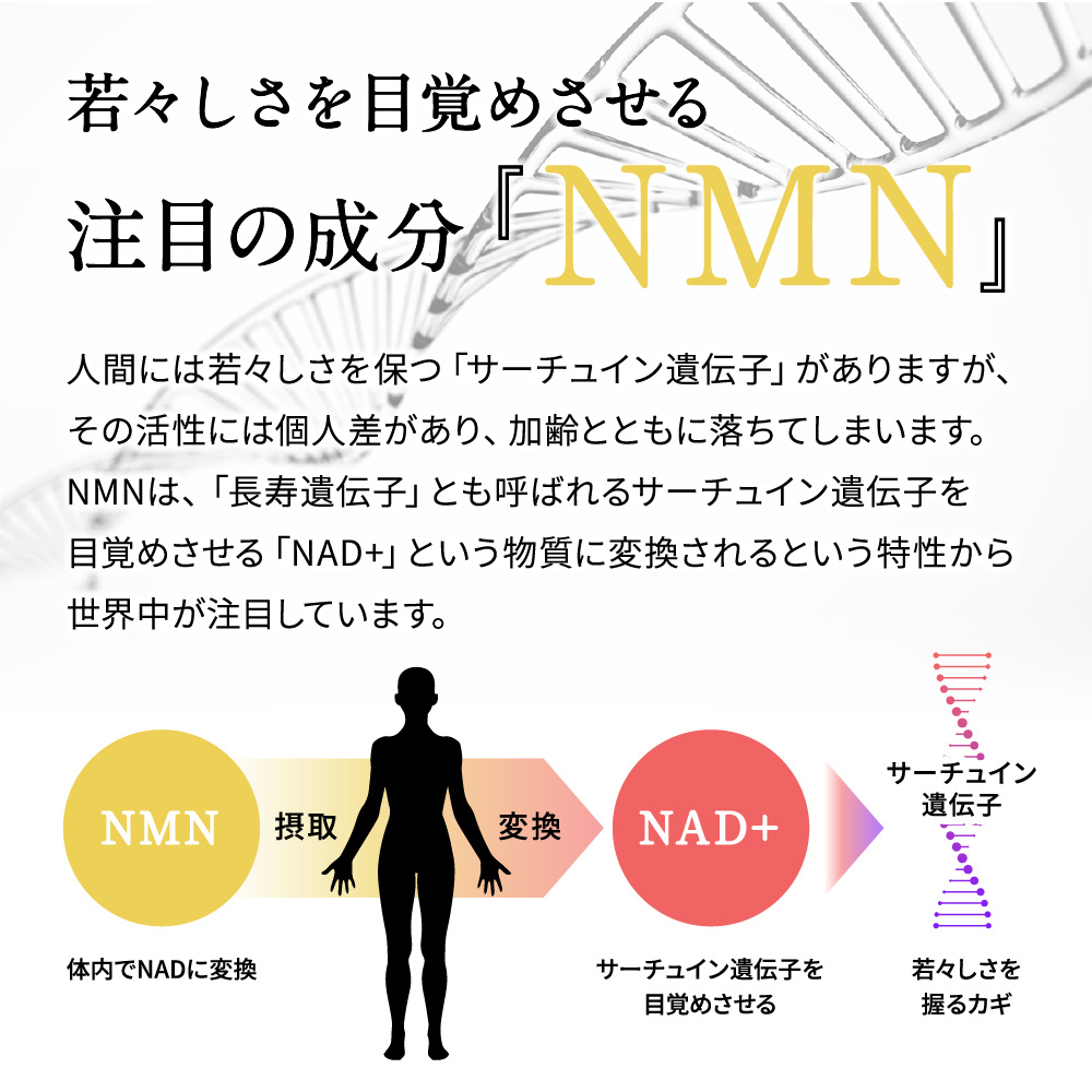 新品 NMN サプリ ニコチンアミドモノヌクレオチド 6ヶ月 シードコムス