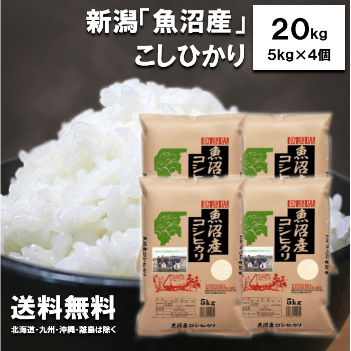 田中米穀 新潟魚沼産こしひかり20kg（5kg×4袋）【送料無料 北海道