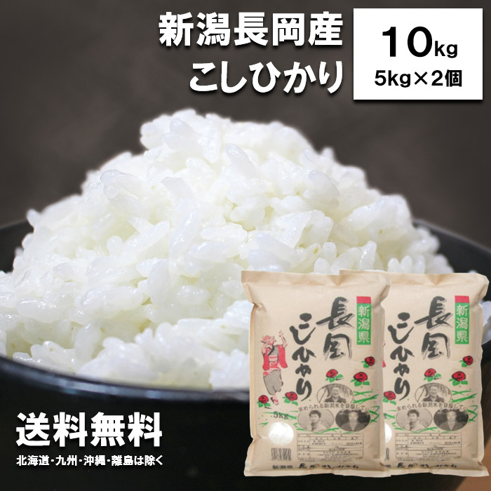 新潟県産コシヒカリ白米５キロ×２袋(令和４年産)　米