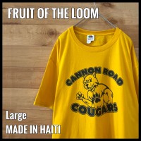 【FRUIT OF THE LOOM】イラスト アーチロゴ Tシャツ L 古着 | Vintage.City 빈티지숍, 빈티지 코디 정보