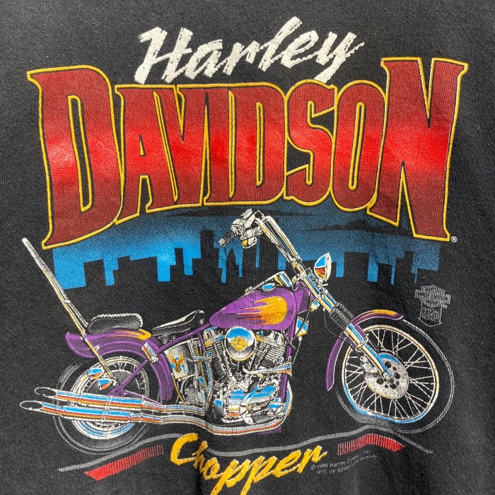 Harley Davidson ハーレーダビッドソン HANES ヘインズタグ 80s