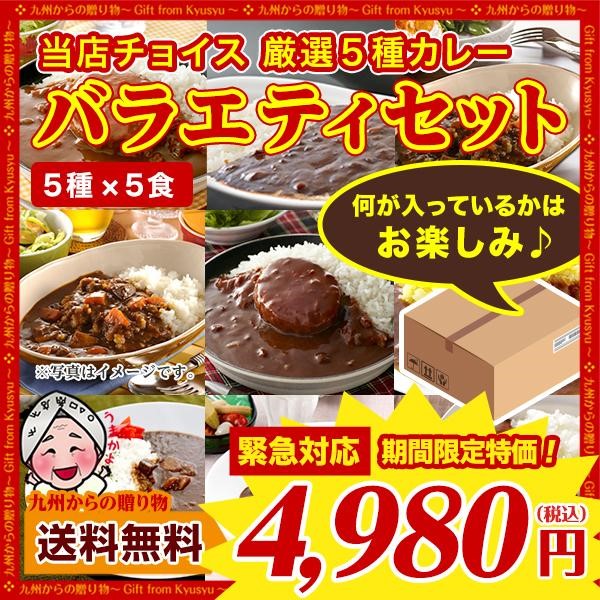 グルメ まとめ買い 当店チョイス 厳選カレー 計25食 バラエティセット