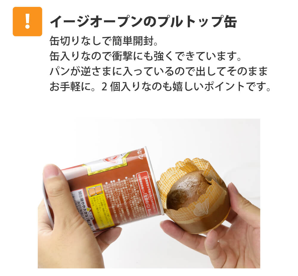 1人用/3日分(9食) 非常食セット A4サイズBOX入 アルファ米 パン