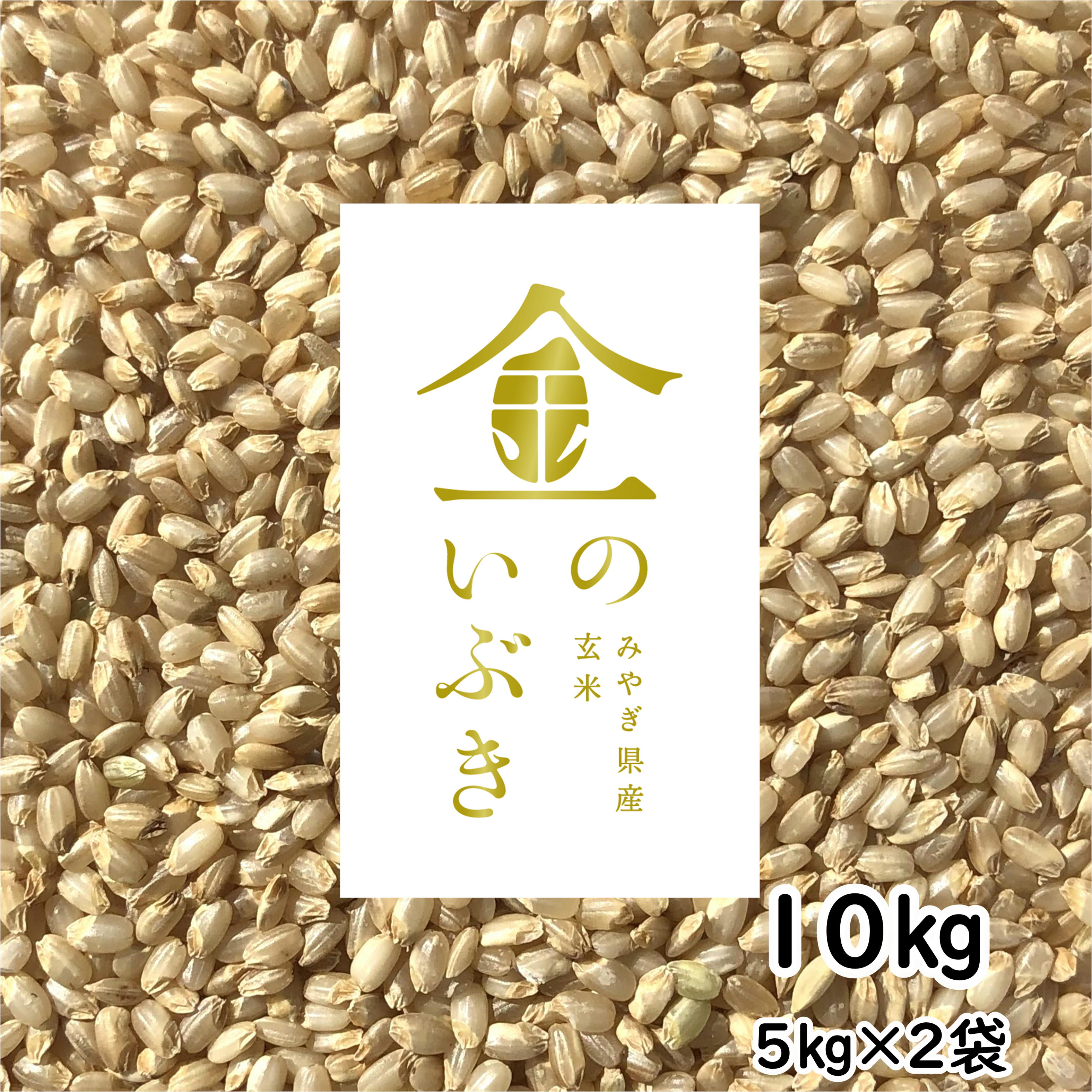 宮城県　玄米　金のいぶき　胚芽が3倍大きい玄米食専用米　10kg　令和4年産