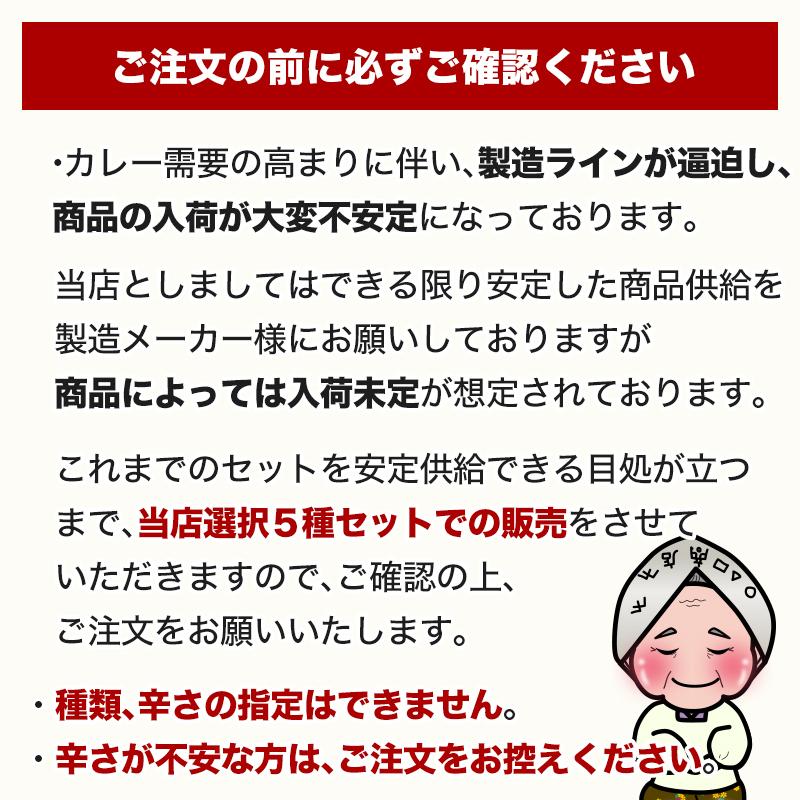 グルメ まとめ買い 当店チョイス 厳選カレー 計25食 バラエティセット