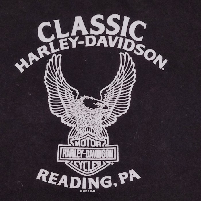 4XLsize Harley-Davidson logo Tee ハーレーダビッドソン ロゴ Tシャツ ビックT 24032701 | Vintage.City Vintage Shops, Vintage Fashion Trends