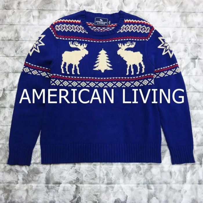 AMERICANLIVINGアメリカンニットセーター