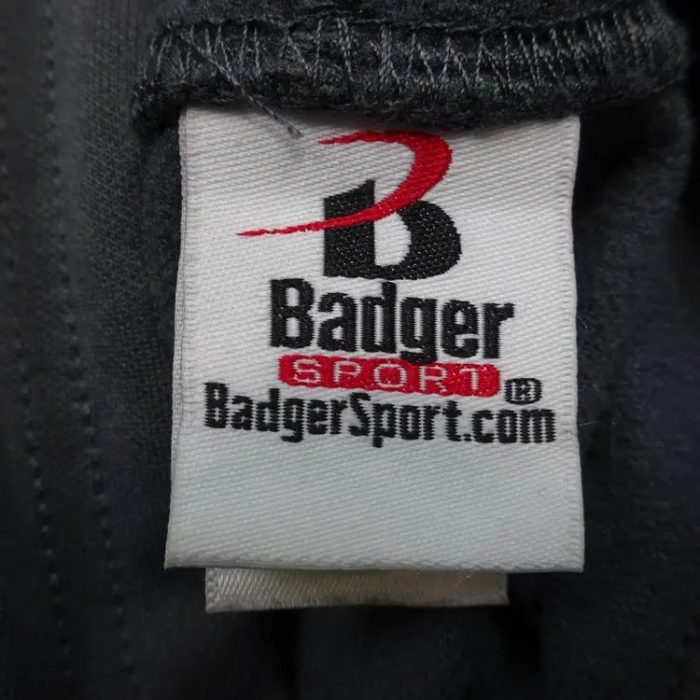 バジャー パーカー 4XL グレー フード 胸プリント プルオーバ ビッグサイズ | Vintage.City 古着屋、古着コーデ情報を発信