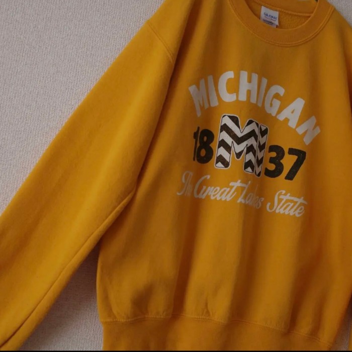 ギルダン カレッジロゴ スウェットS Michigan ミシガンus古着used | Vintage.City 古着屋、古着コーデ情報を発信