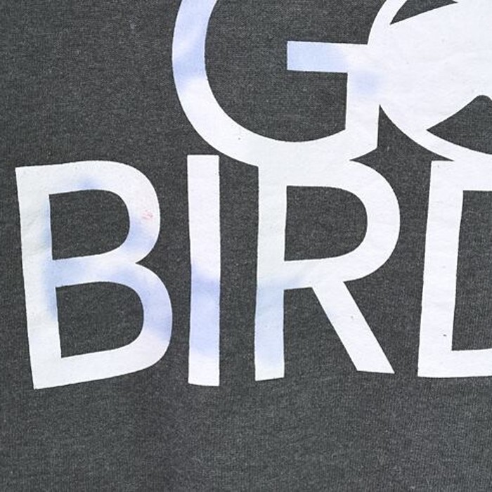 チャンピオン GO BIRDS! プリント スウェット @CF0310 | Vintage.City 古着屋、古着コーデ情報を発信