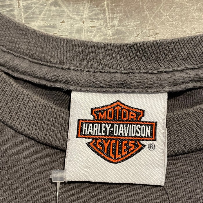 HARLEY-DAVIDSON プリントTシャツ　Mサイズ　アッシュブラウン | Vintage.City 古着屋、古着コーデ情報を発信