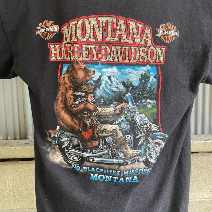 ★ハーレーダビットソン 両面ロゴ ビッグサイズ アースカラーポケットTシャツ