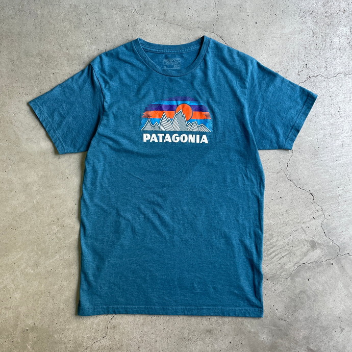 patagonia パタゴニア ロゴプリント Tシャツ メンズM | Vintage.City