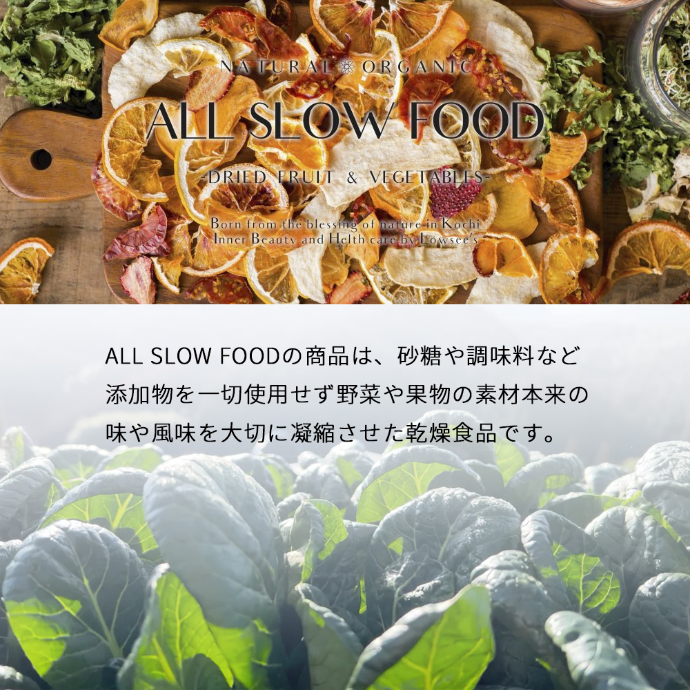 保存食セット 1日分の高知乾燥野菜ミックス 単品 ALL SLOW FOOD 5