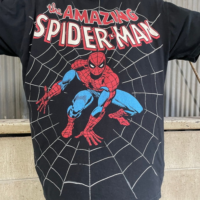 スパイダーマン Tシャツ The Amazing Spider Man T - トップス