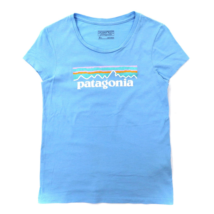patagonia ロゴプリントTシャツ M ブルー コットン メキシコ製 | Vintage.City