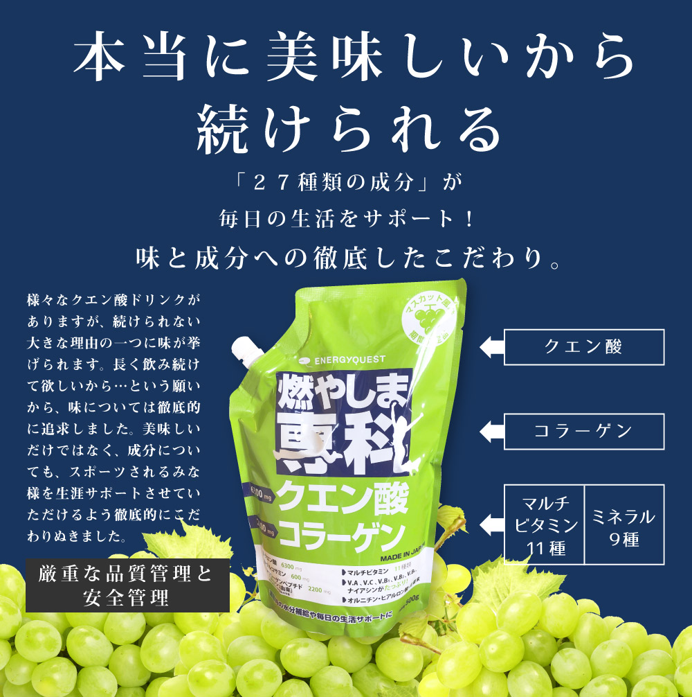 燃やしま専科 マスカット風味 500g もやしま専科 サプリメント ...