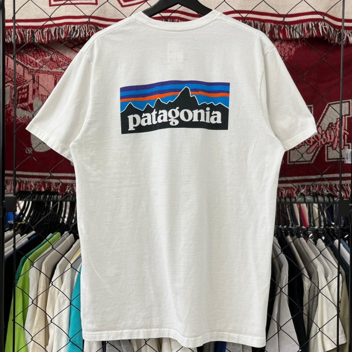 パタゴニア デザインTシャツ ポケット バックプリント L 古着 古着屋