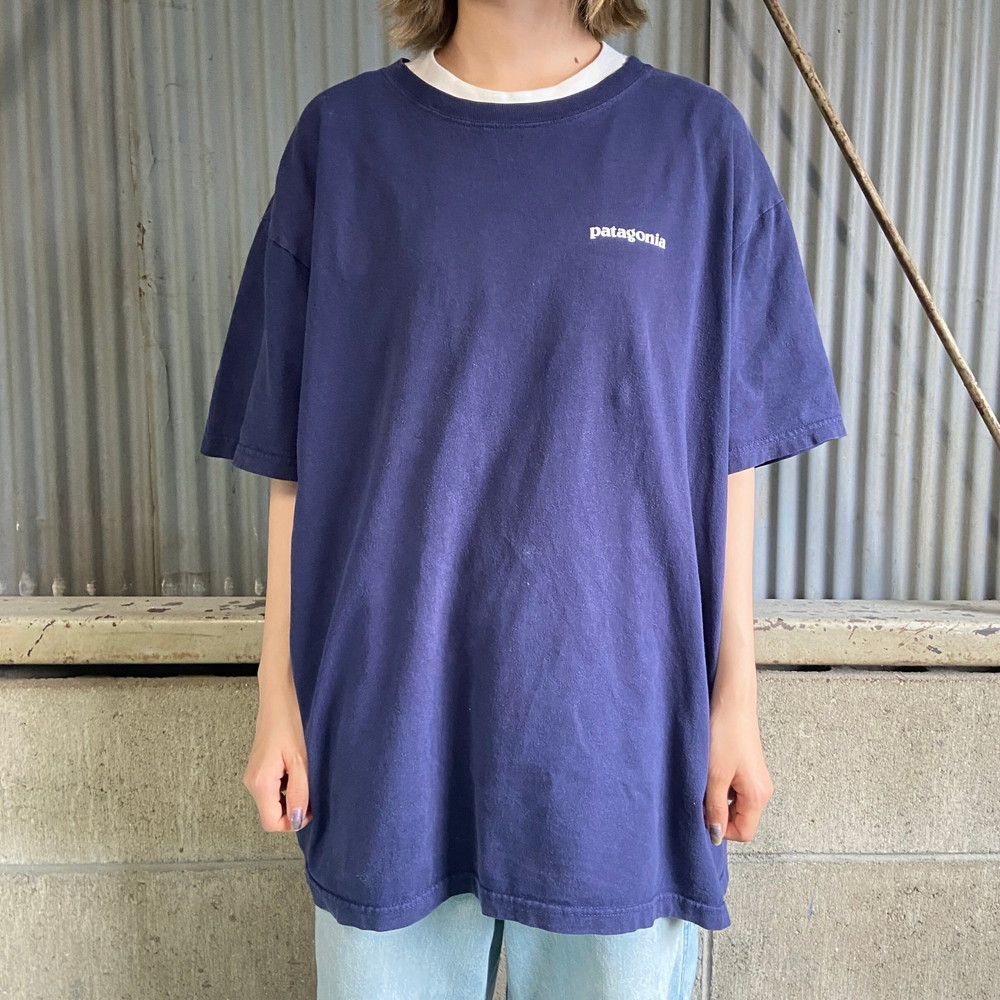 patagonia パタゴニア 胸ロゴ バックプリント オーガニックコットン T