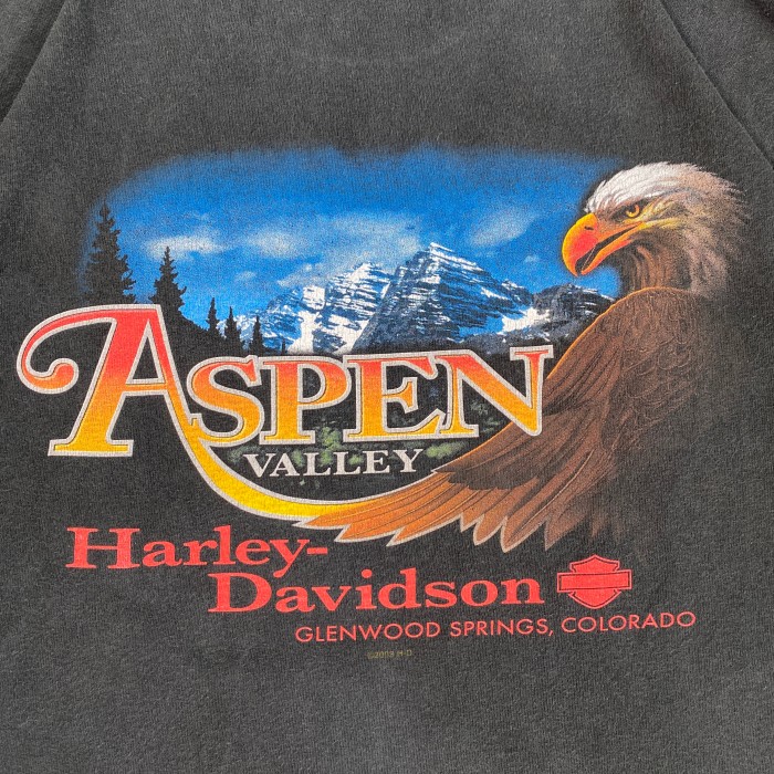 ハーレーダビッドソン HarleyDavidson Tシャツ 黒 | Vintage.City 빈티지숍, 빈티지 코디 정보