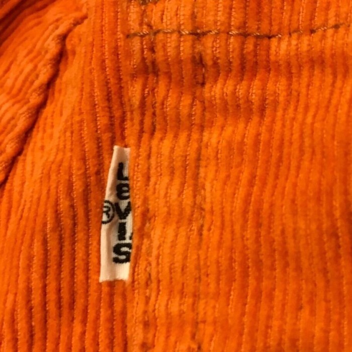 90年代製 Levi's 646 コーデュロイパンツ | Vintage.City 古着屋、古着コーデ情報を発信