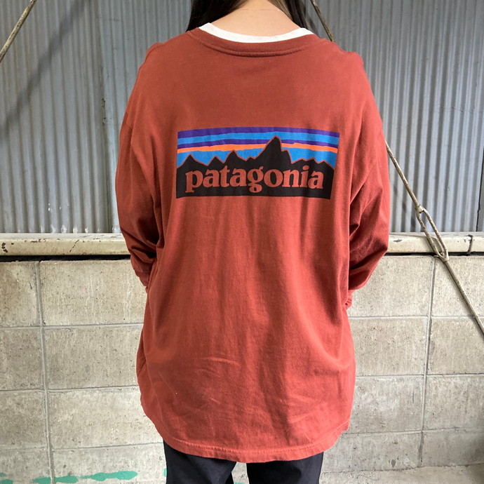 USA製 patagonia パタゴニア 胸ロゴ バックプリント ロングTシャツ