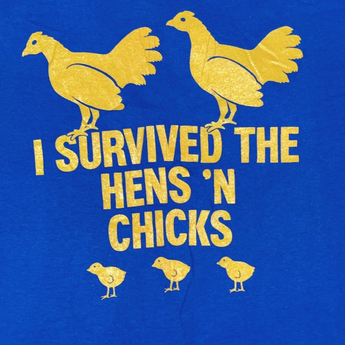 Freesize I SURVIVED THE HEN'S N CHICKS TEE 24050311 チキン ニワトリ Tシャツ | Vintage.City Vintage Shops, Vintage Fashion Trends
