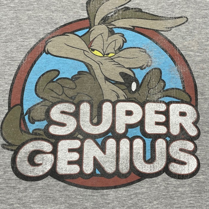 Looney Tunes Wile E. Coyote プリントTシャツ グレー Lサイズ | Vintage.City Vintage Shops, Vintage Fashion Trends