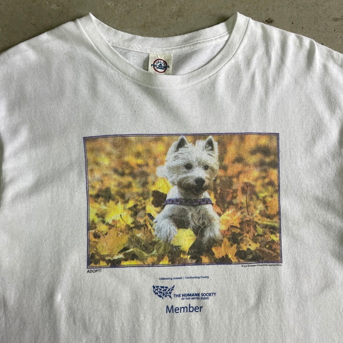 90年代 アニマル イヌ 犬 DOG プリントTシャツ メンズL | Vintage.City