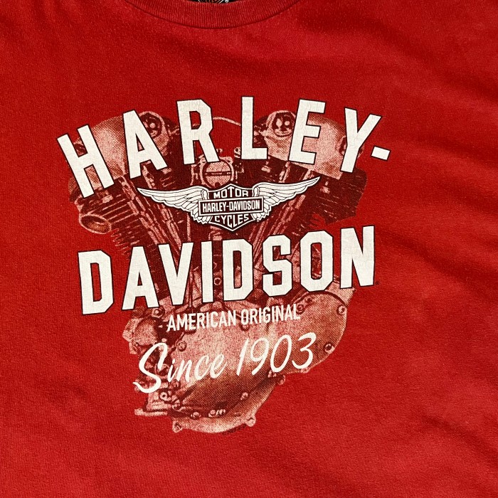 （5XLサイズ）HARLEY DAVIDSON TEE | Vintage.City ヴィンテージ 古着