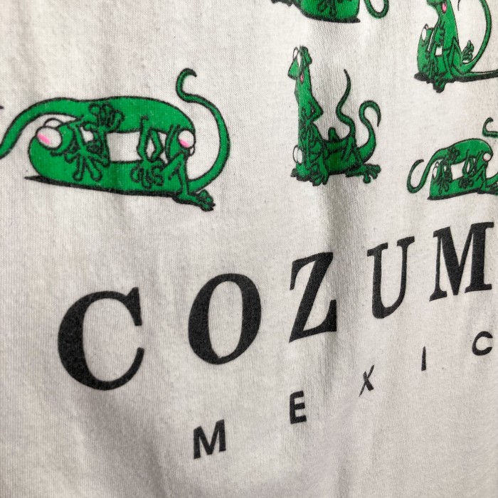 90s 四十八手/COZUMEL MEXICO T-SHIRT | Vintage.City ヴィンテージ 古着