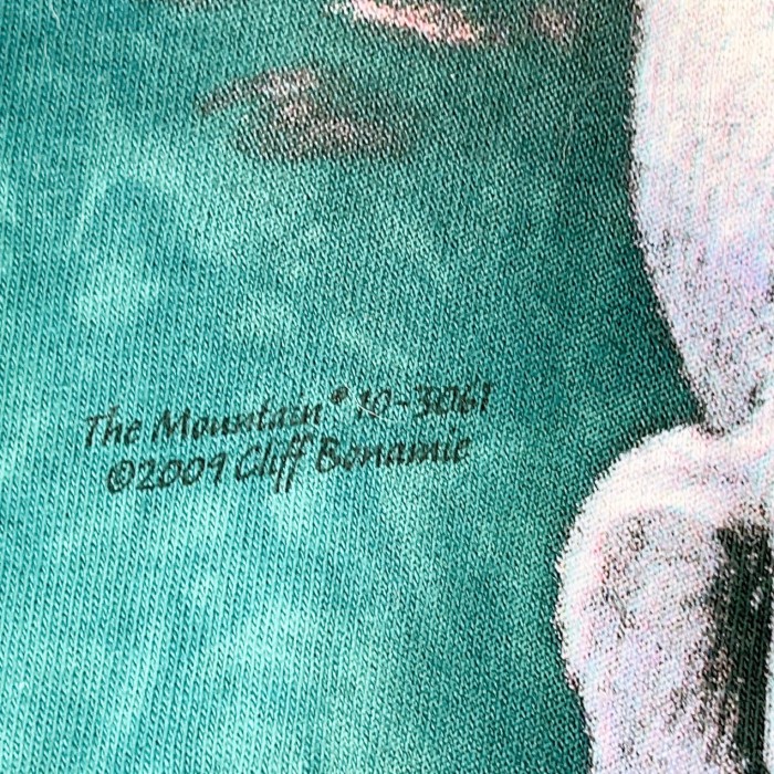 3XLsize THE MOUNTAIN TEE ホワイトタイガー マウンテン アニマル タイダイ　Tシャツ 24050301 | Vintage.City 빈티지숍, 빈티지 코디 정보