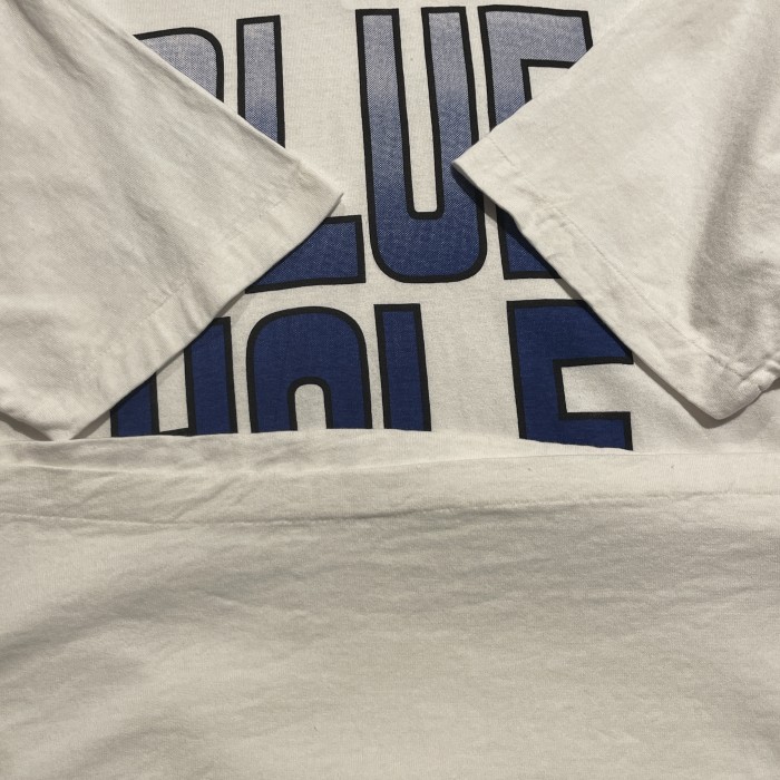 90s シングルステッチ　BLUE HOLE フィッシュプリント　 半袖Tシャツ　C018 | Vintage.City 빈티지숍, 빈티지 코디 정보