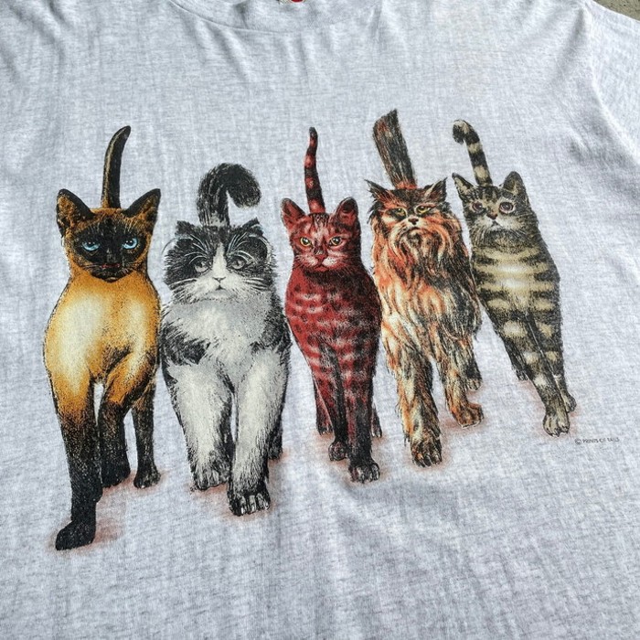 90年代 PRINTS OF TAILS 猫 アート アニマル プリント ロング丈 Tシャツ メンズXL相当 レディース2XL相当 | Vintage.City 古着屋、古着コーデ情報を発信