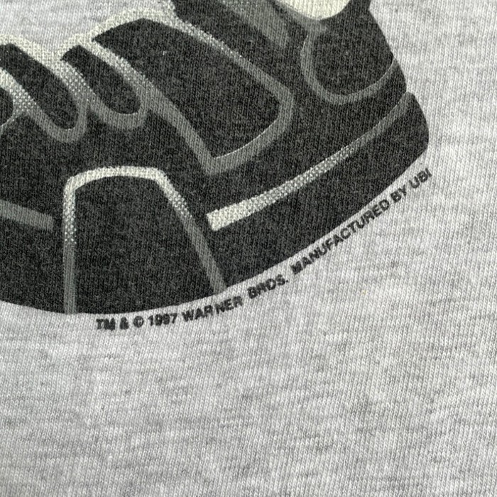 90年代 ルーニーテューンズ トゥイーティー キャラクタープリントTシャツ メンズL レディース | Vintage.City 빈티지숍, 빈티지 코디 정보