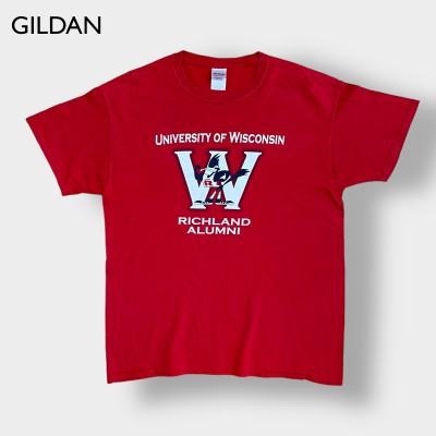 【GILDAN】カレッジ ウィスコンシン大学 Tシャツ カレッジロゴ プリント UNIVERSITY OF WISCONSIN 赤 LARGE 半袖 夏物 US古着 | Vintage.City ヴィンテージ 古着