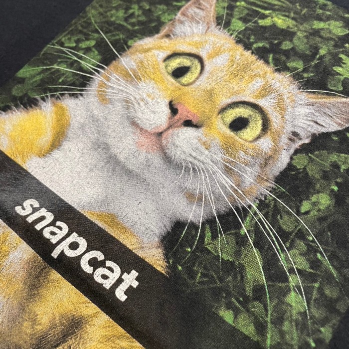 unknown アニマルプリント 自撮りな猫 半袖Tシャツ A152 | Vintage.City