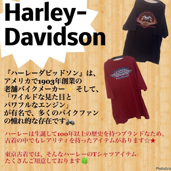 ハーレーダビッドソン HARLEY DAVIDSON 半袖Tシャツ TEE 両面