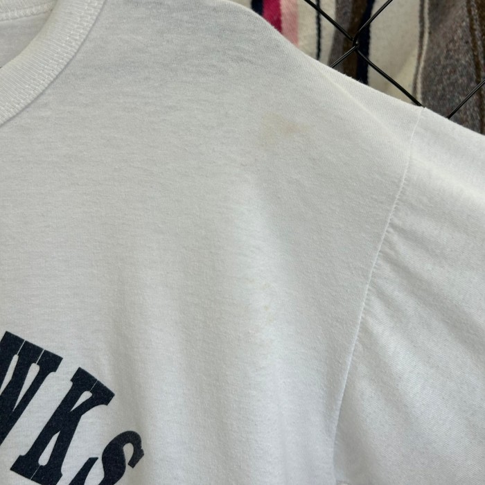 90s USA製 デザイン系 レディーホークス半袖Tシャツ シングルステッチ