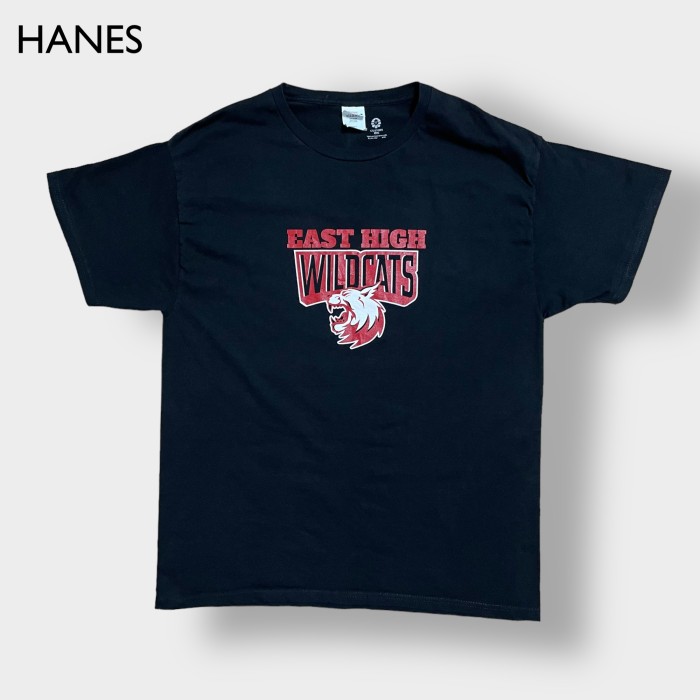 【送料無料】vintage Hanes Tシャツ バックプリント Mユニセックス