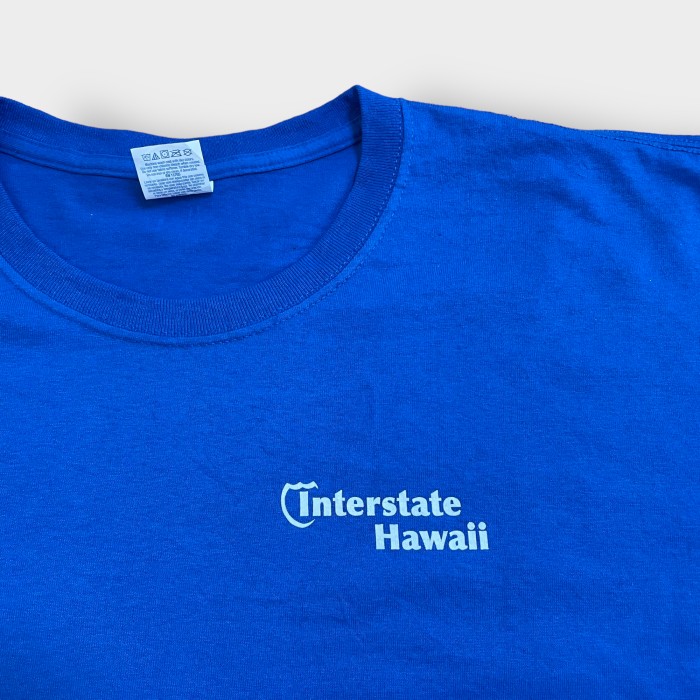 商品状態【HALEIWA Hawaii】ヴィンテージTシャツ　ビッグシルエット　ハワイ