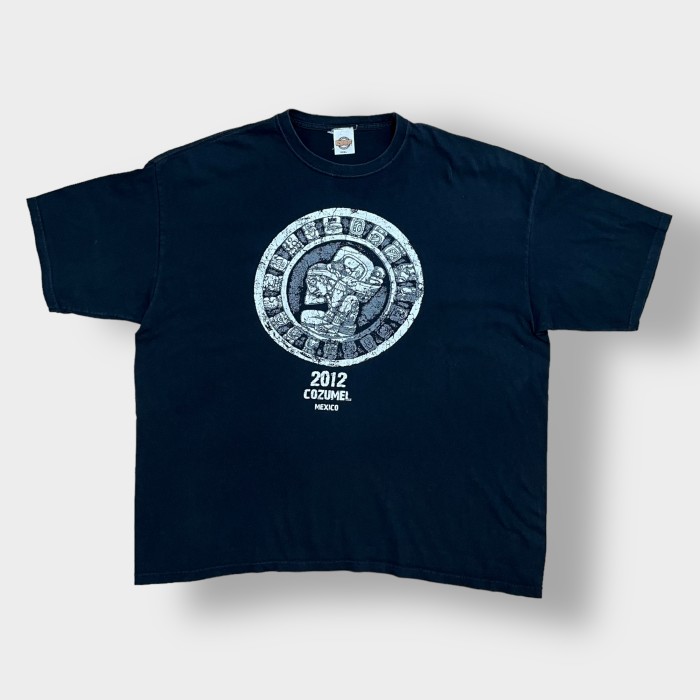 REEF】COZUMEL ロゴ プリント Tシャツ 3XL ビッグサイズ MEXICO製 黒t ...
