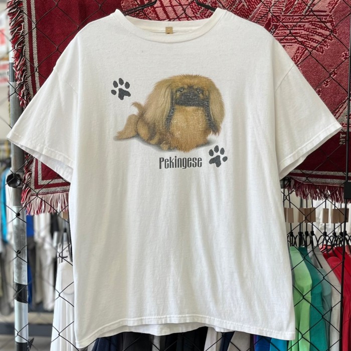 アニマル系 ペキニーズ 犬 デザインプリント ドック 半袖Tシャツ 古着 