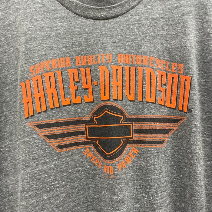 ハーレーダビッドソン Harley-Davidson Tシャツ ロゴ ツノトカゲ ...