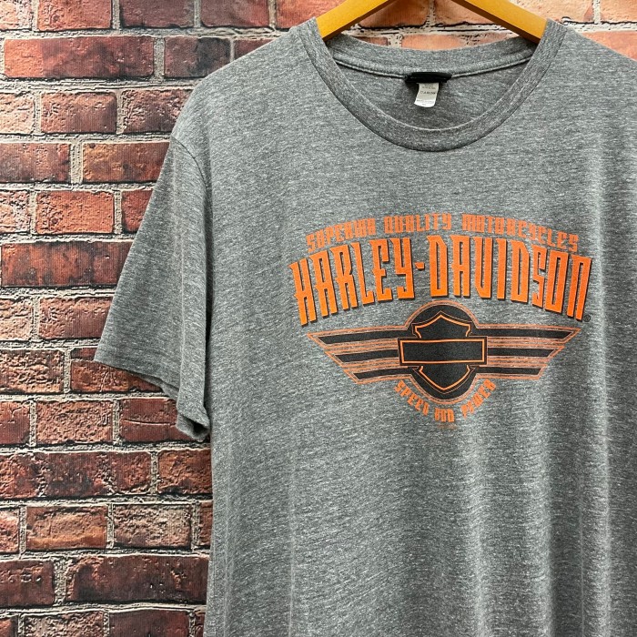 ハーレーダビッドソン Harley-Davidson Tシャツ ロゴ ツノトカゲ 