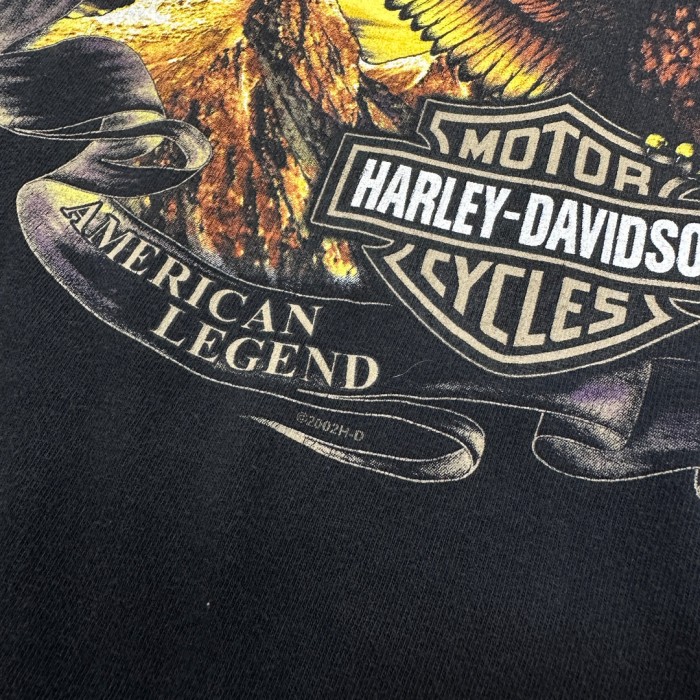 harley davidson t-shirt 572 | Vintage.City 빈티지숍, 빈티지 코디 정보