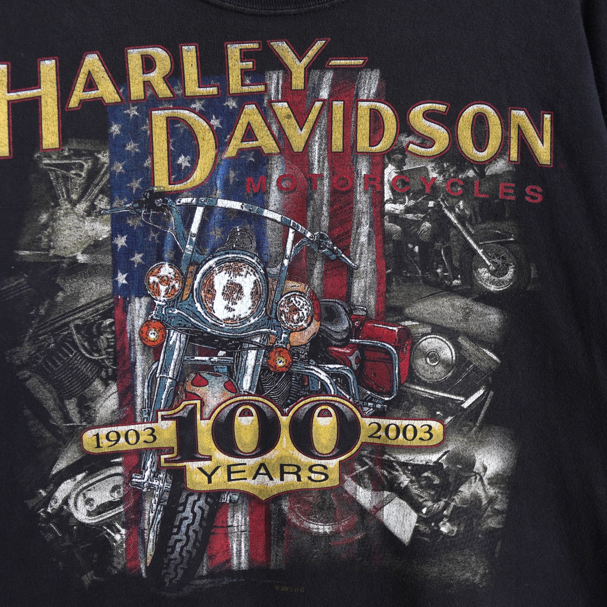 Harley Davidson ハーレーダビッドソン Tシャツ プリントTシャツ